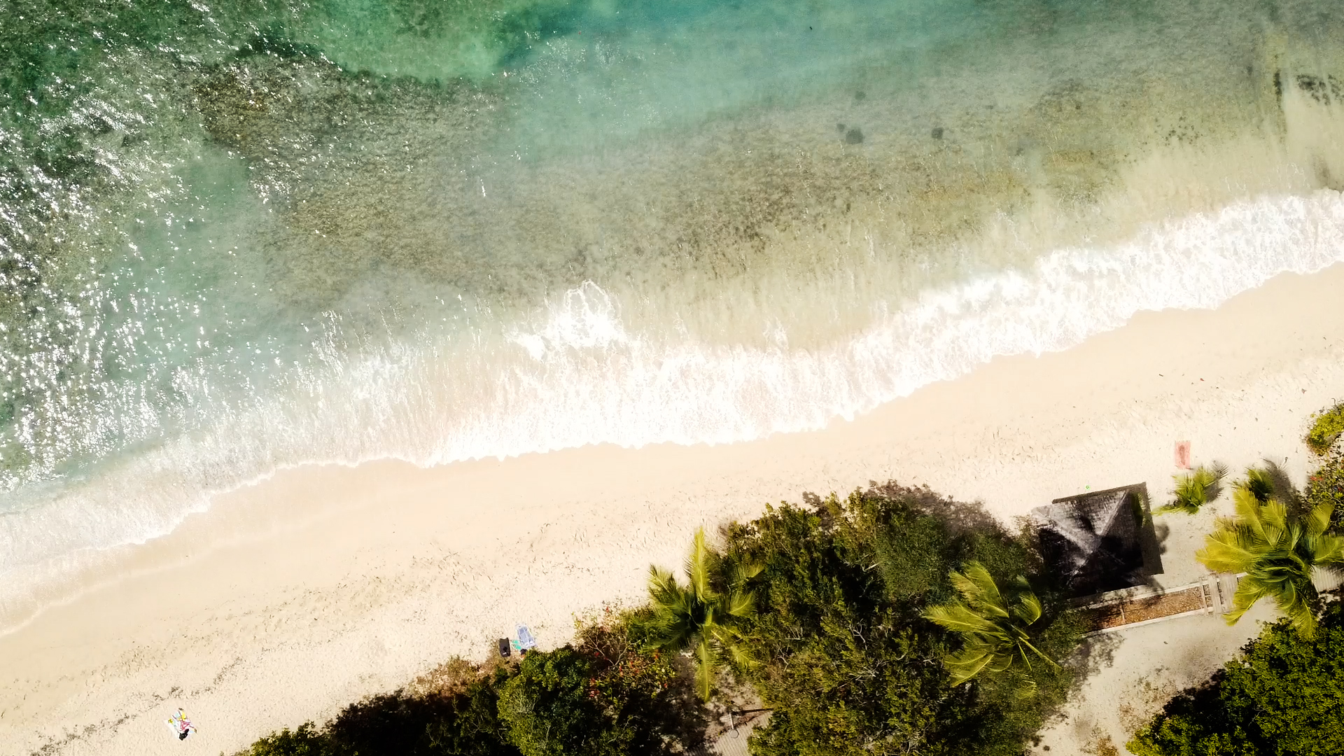 La Tortue Verte – Guadeloupe Ocean