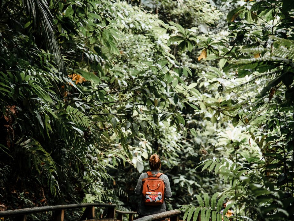 La Guadeloupe est une île qui regorge de trésors à découvrir entre terre et mer, alors aujourd’hui, La Tortue Verte répond à la fameuse question « Que faire en Guadeloupe » afin de vous accompagner dans les nombreux choix qui s’offrent à vous !