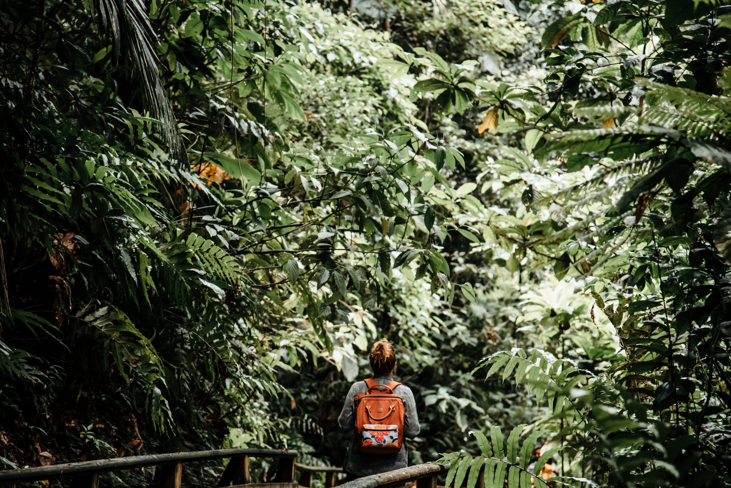 Où se loger en Guadeloupe ?