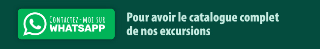 bandeau-whats-app-latortuverte