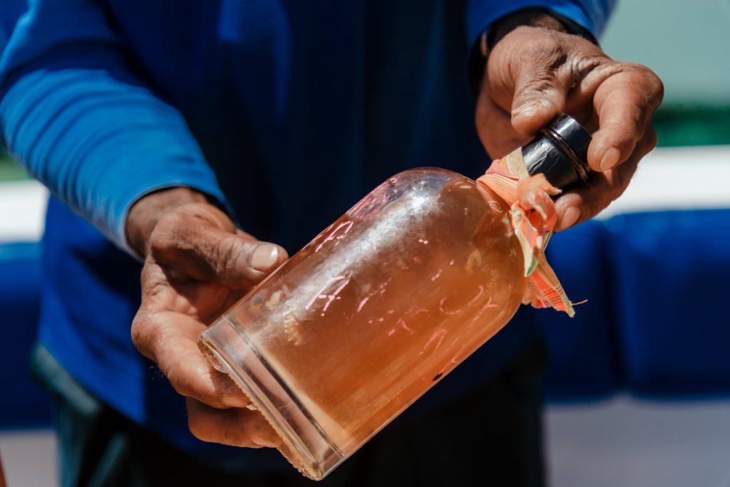 dégustation rhum agricole en guadeloupe, punch antillais